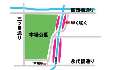 河津桜木場地図.jpg